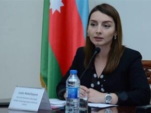 Leyla Abdullayeva Ermənistanın ittihamlarına cavab verdi