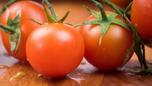 Azərbaycanda pomidorun bahalaşmasının səbəbi açıqlandı – VİDEO