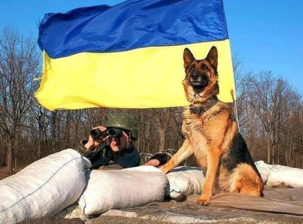 Ukrayna ordusu Xarkovun daha bir yaşayış məntəqəsinə daxil olub