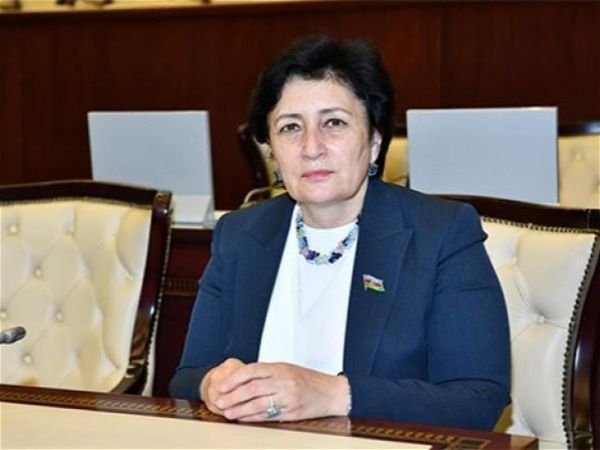 Deputat: Prezidentimiz Azərbaycana qarşı yönələn ittihamlara konkret faktlarla cavab verdi