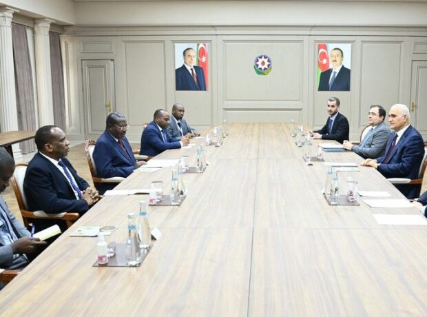 Şahin Mustafayev Tanzaniyanın Vitse-prezidenti ilə görüşdü