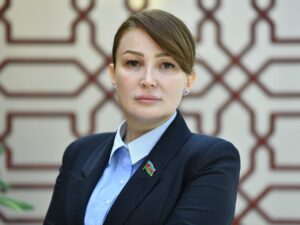 “Ermənistan sülh prossesində maraqlı deyil” – Deputat