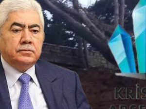 Deputatın şirkəti Heydər Əliyev adına parkda ağacları kəsib – Video