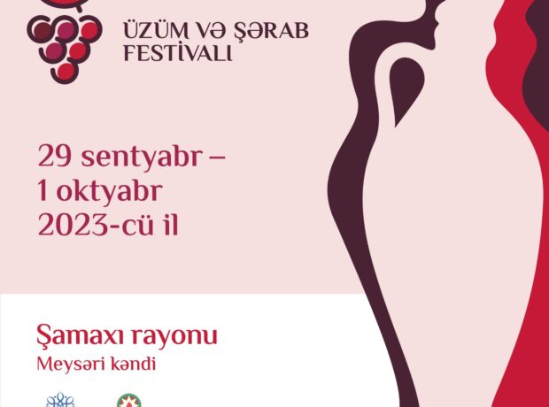 Şamaxı Üzüm və Şərab Festivalına hazırlaşır – VİDEO