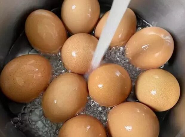 Qaynadılmış yumurta suyuna diş çubuqları əlavə edin – SƏBƏB