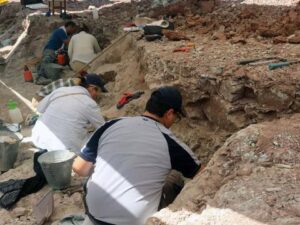 Çoxhüceyrəli eukaryot fosilləri aşkar edildi