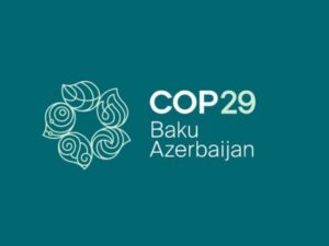 COP29 könüllüləri üçün qeydiyyat başladı