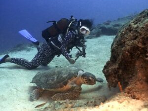 Türkiyə Rivierasında “Caretta mövsümü” başlayır – FOTO