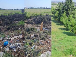 Şəmkir Regional Ekologiya rəis əvəzi Elşən Şirinov yaşıllıqları məhv edir – FOTOLAR