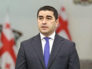 Papuaşvili: Gürcüstan Prezidenti iğtişaşların təşkilində iştirak edir