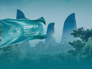 COP29-un Yaşıl Zonası böyük ziyarətçi marağına səbəb olub