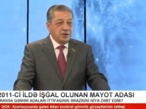 Cavanşir Feyziyev: “Fransanın bu əməlinin arxasında işğalçılıq siyasəti dayanır”-Video