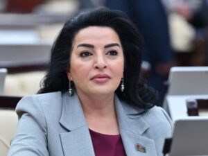 Deputat: “Cənubu Qafqazda sabitliyi pozmaq istəyənlər…..”