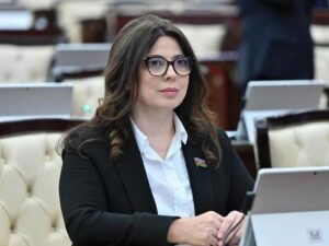 Deputat Səbinə Salmanova İşçi Qrupunun rəhbəri seçildi